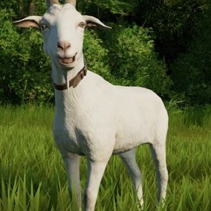 Meet your Posher, Luis